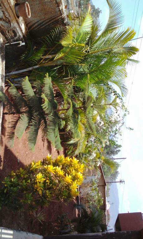 Bliss Lonavala Villa Exterior photo